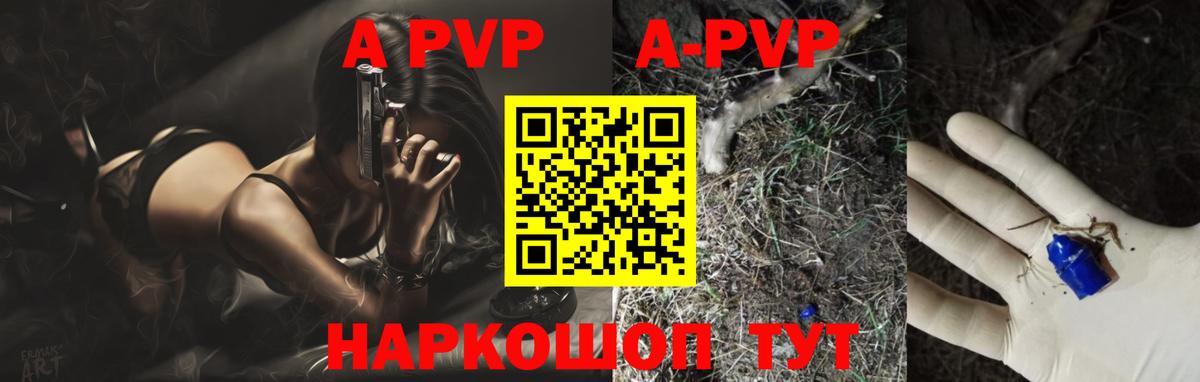 A-PVP СК КРИС Каспийск