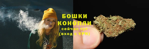 метадон Няндома