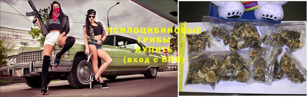метадон Няндома