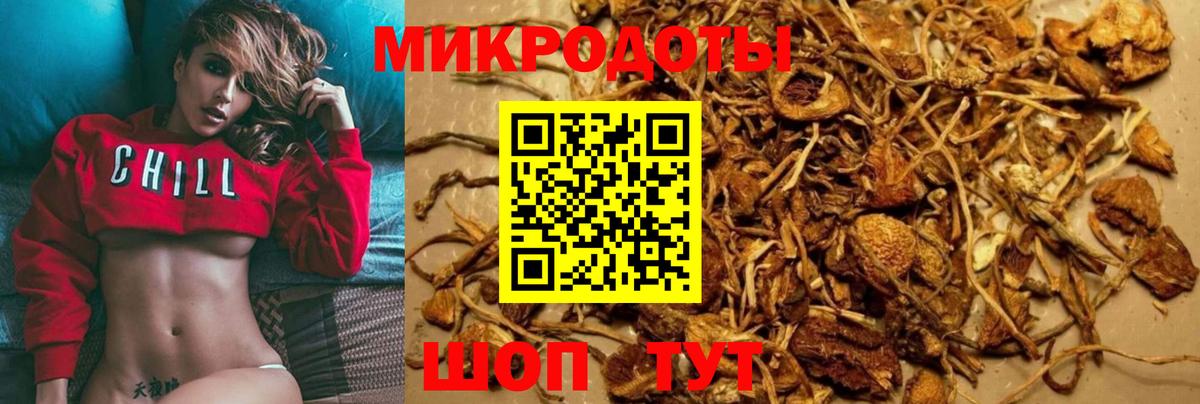 Псилоцибиновые грибы Psilocybine cubensis Каспийск