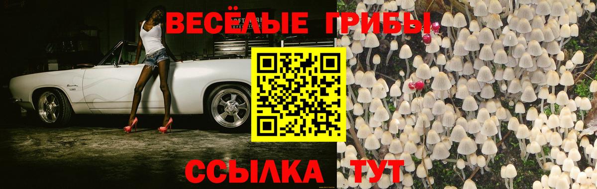 Галлюциногенные грибы Magic Shrooms  Вход с VPN  Псилоцибиновые грибы прущие грибы  Каспийск 